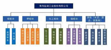 钾肥巨头陷债务危机 无力偿还439万元债务，被申请重整恐临破产