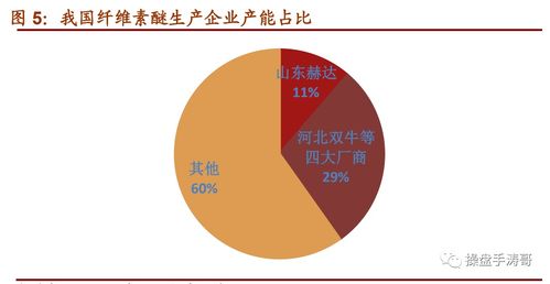 山东赫达 纤维素醚国内龙头，胶囊业务成未来增长突破口